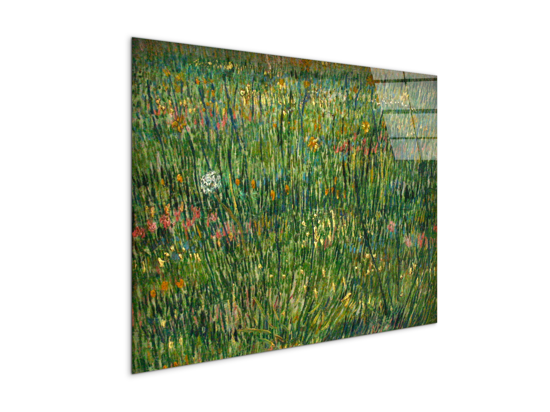 patch-of-grassas90773-