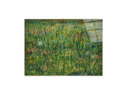 patch-of-grassas90773-