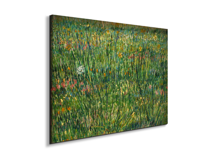 patch-of-grassas90773-