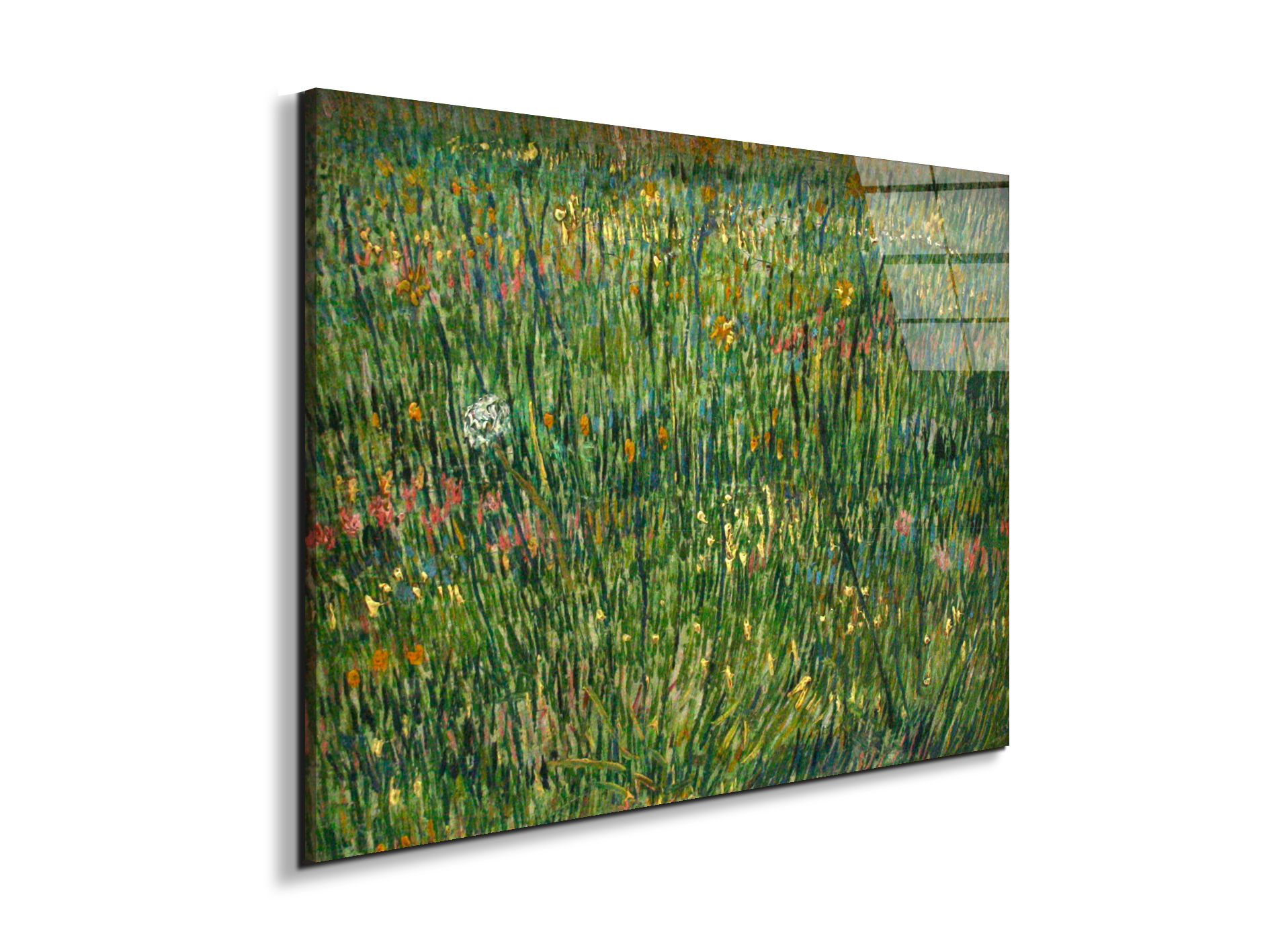 patch-of-grassas90773-