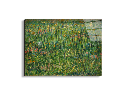 patch-of-grassas90773-