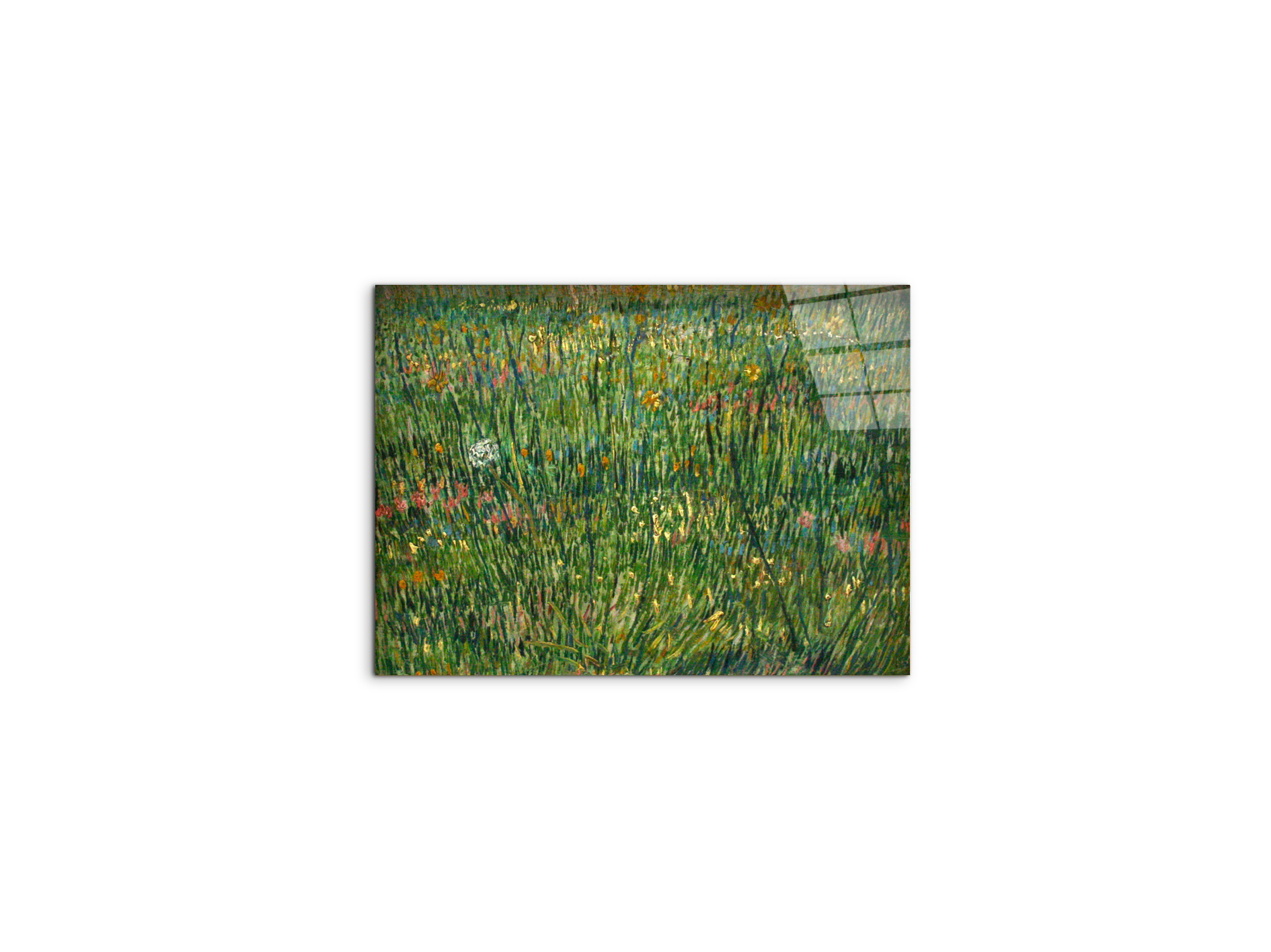 patch-of-grassas90773-