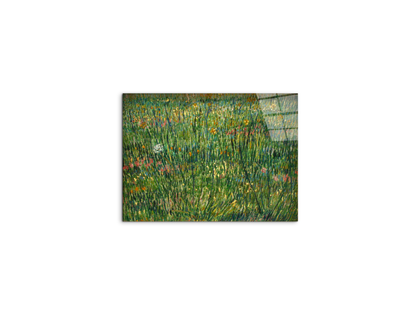 patch-of-grassas90773-
