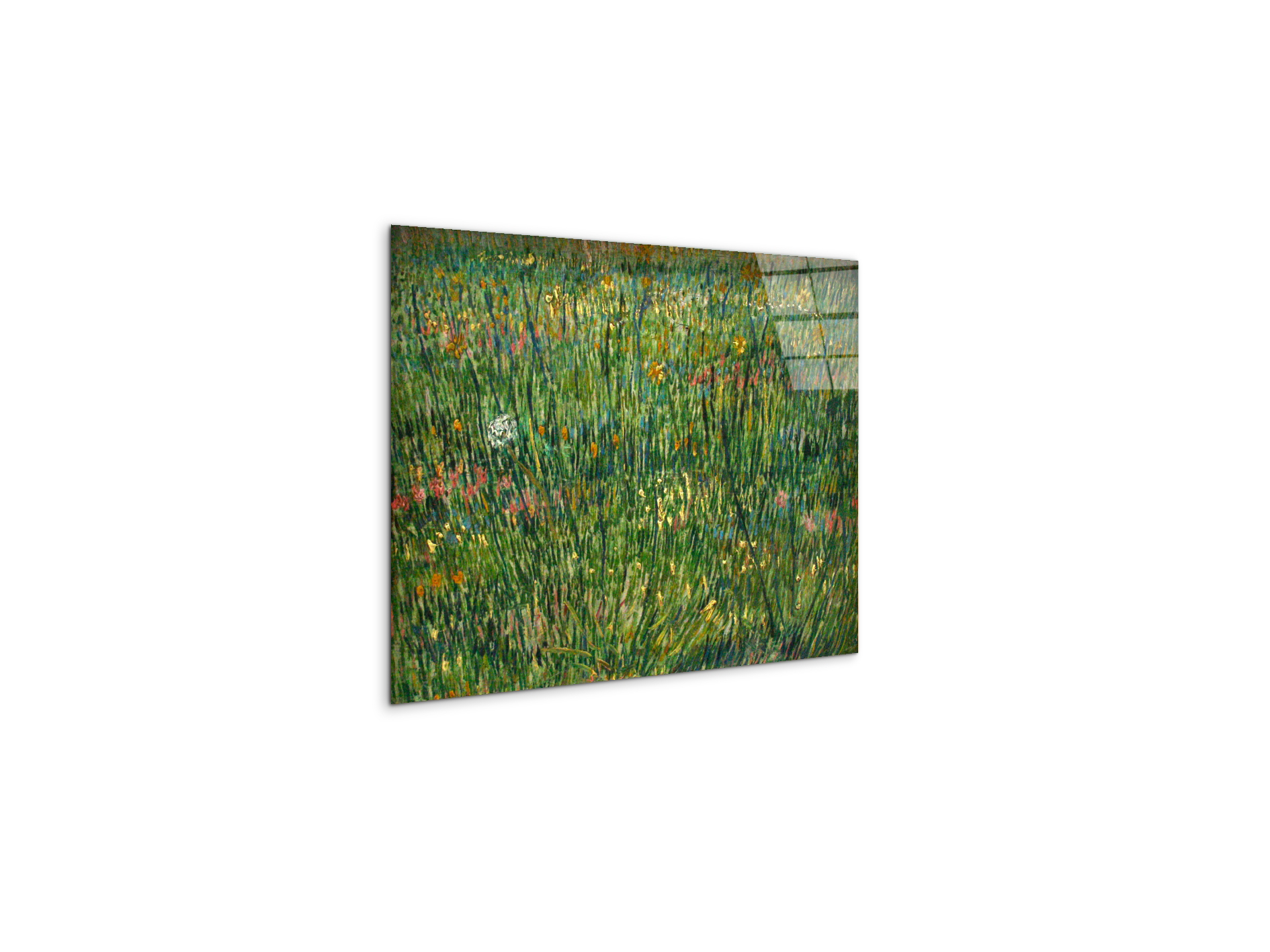 patch-of-grassas90773-