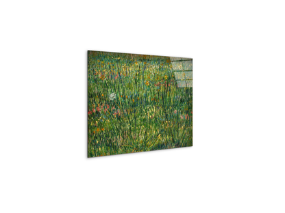 patch-of-grassas90773-