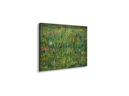 patch-of-grassas90773-