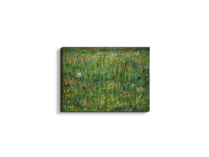 patch-of-grassas90773-