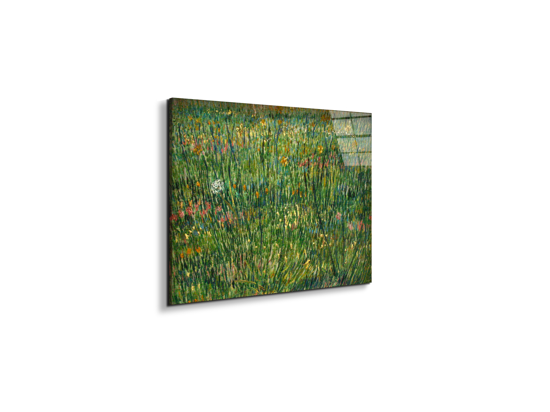 patch-of-grassas90773-