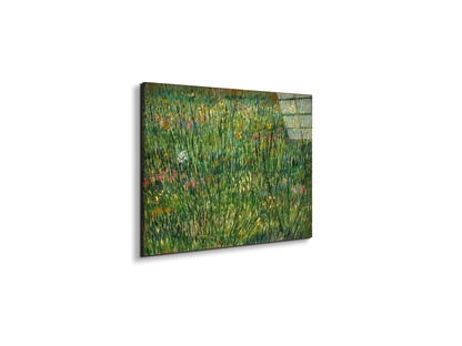 patch-of-grassas90773-