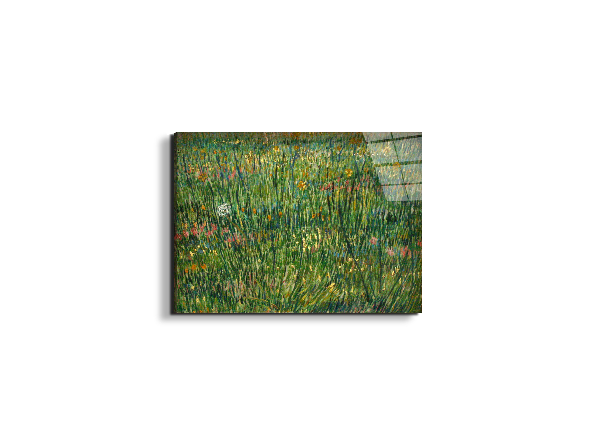 patch-of-grassas90773-