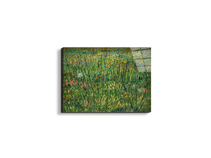 patch-of-grassas90773-