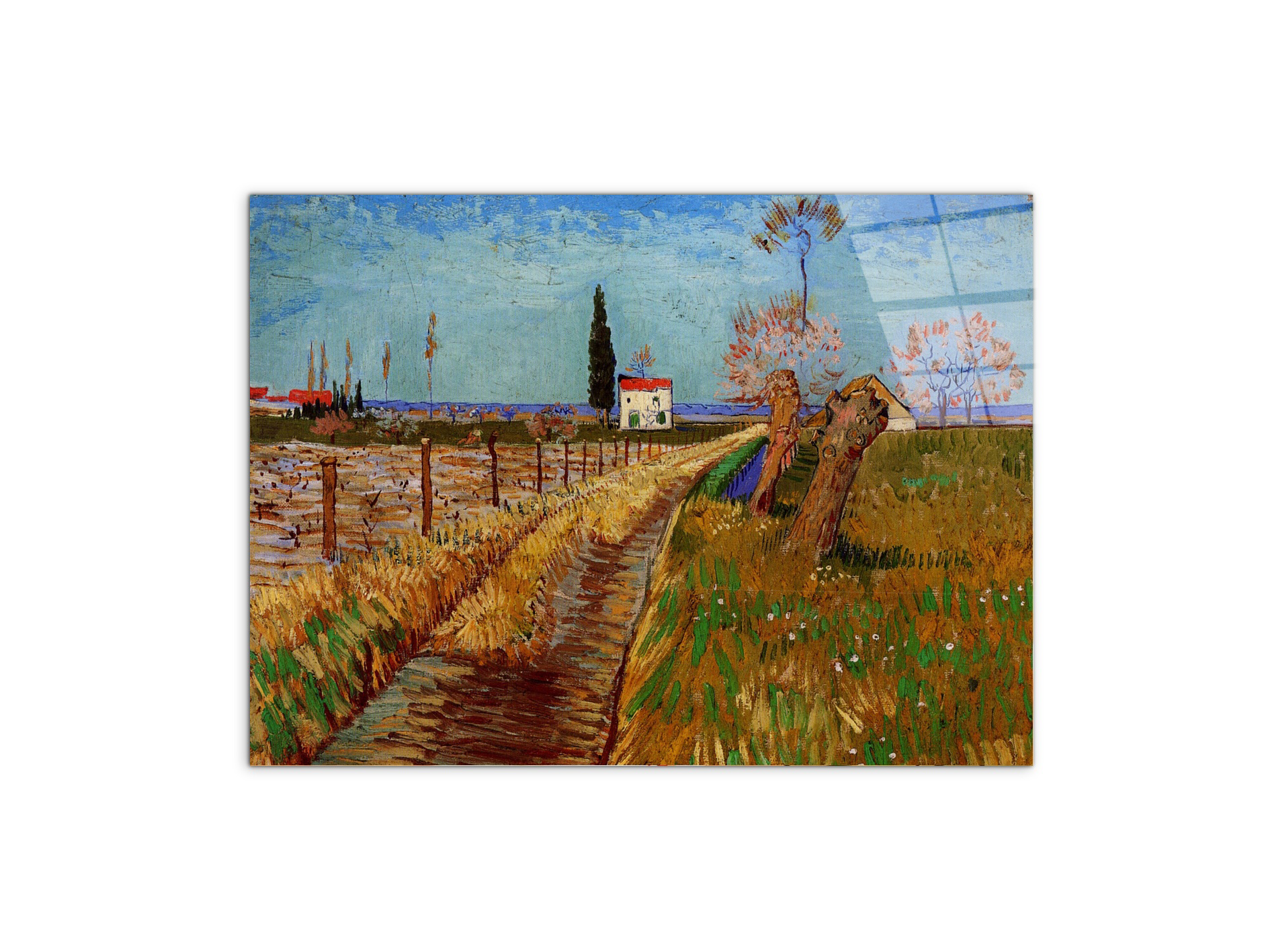 path-through-a-field-with-willowsas90775-#materiale_CrystalArt/dimensioni_76x57