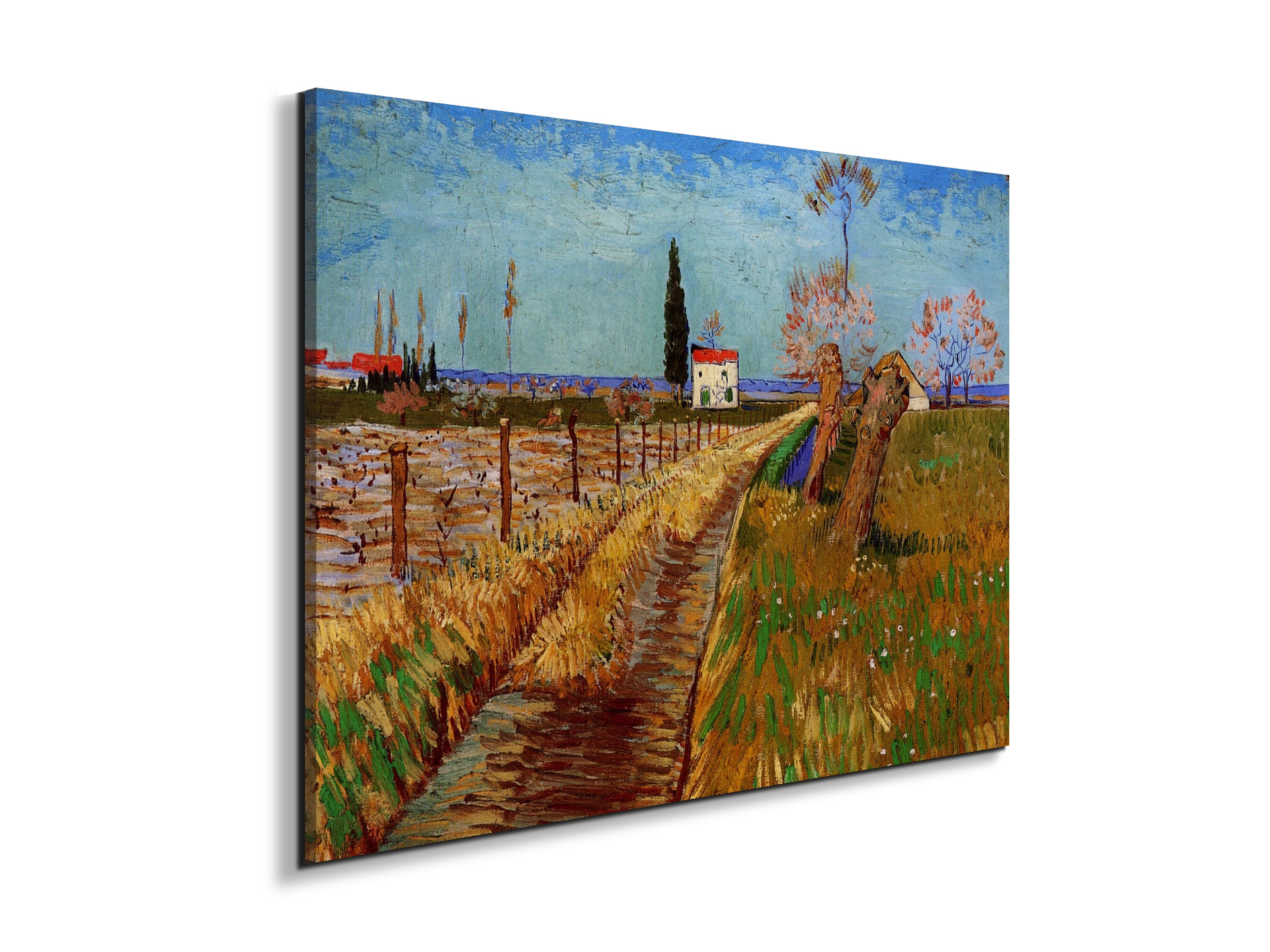 path-through-a-field-with-willowsas90775-