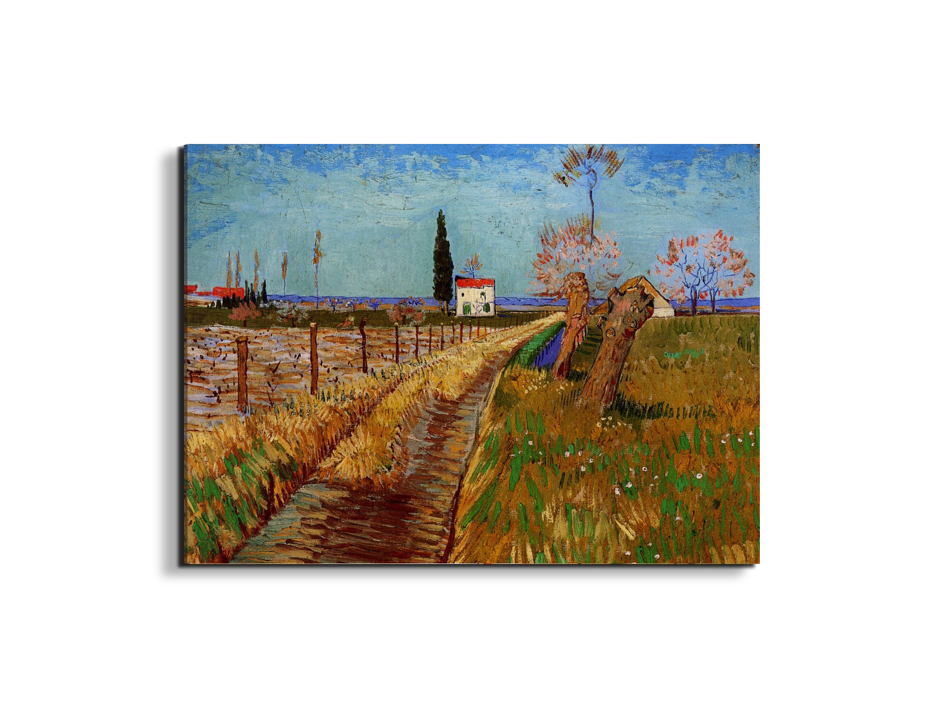 path-through-a-field-with-willowsas90775-#materiale_EarthArt/dimensioni_76x57
