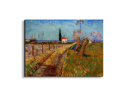 path-through-a-field-with-willowsas90775-