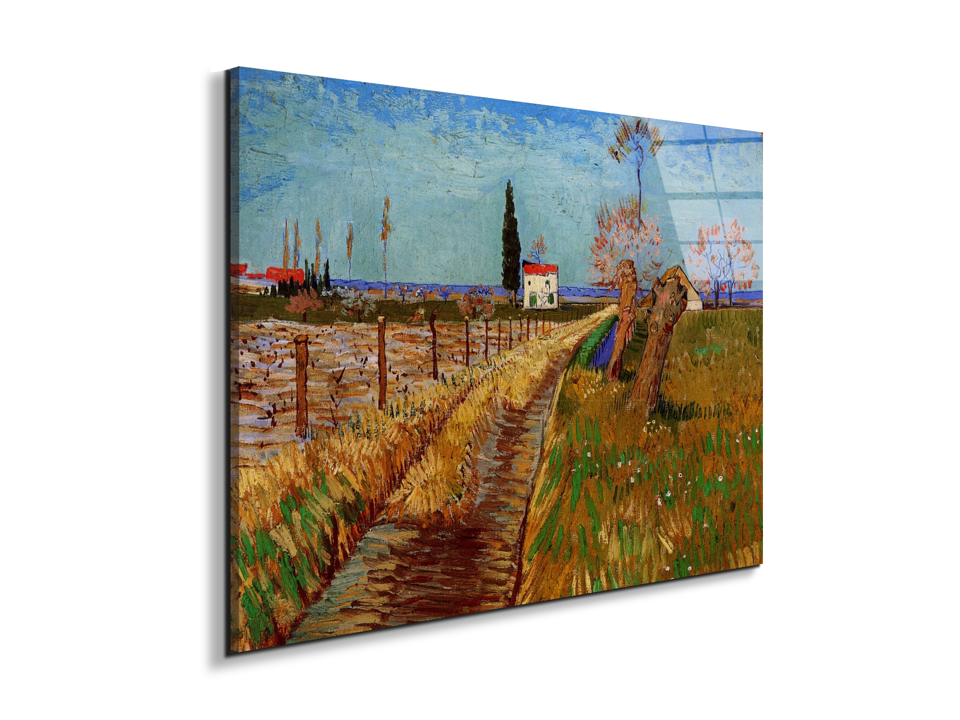 path-through-a-field-with-willowsas90775-