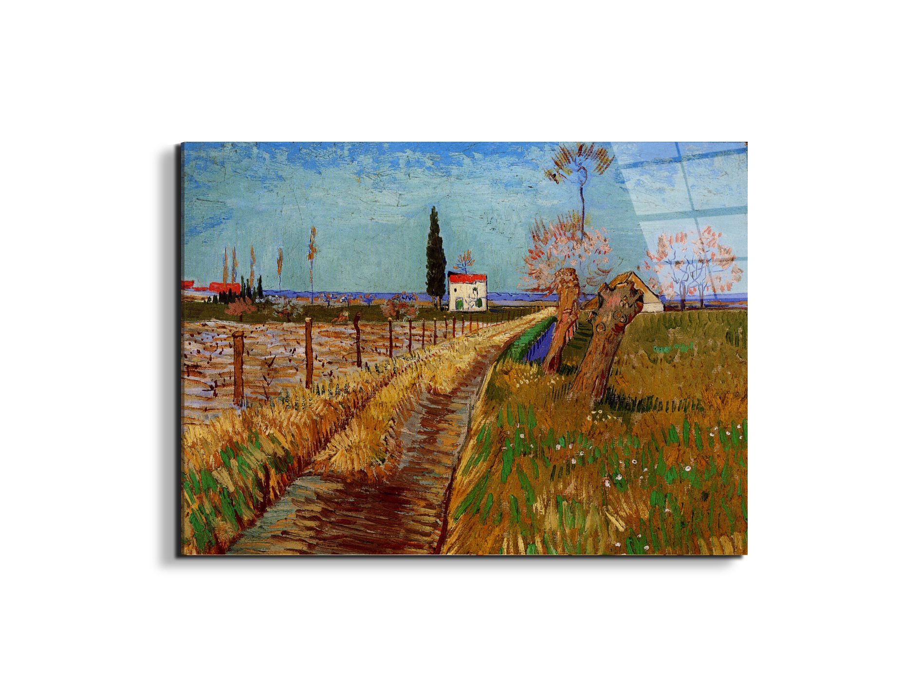 path-through-a-field-with-willowsas90775-#materiale_EarthArt Total Gloss/dimensioni_76x57