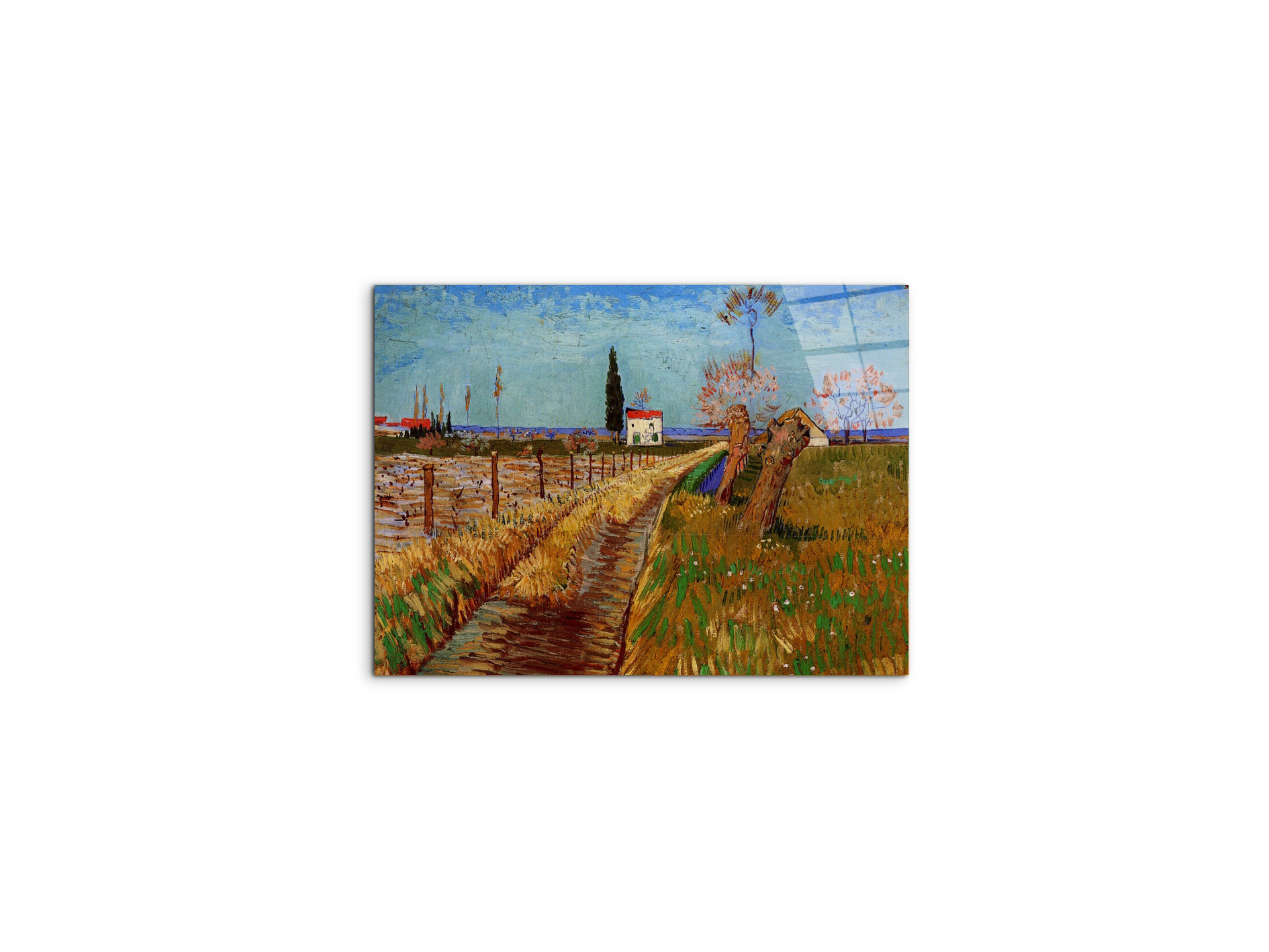 path-through-a-field-with-willowsas90775-