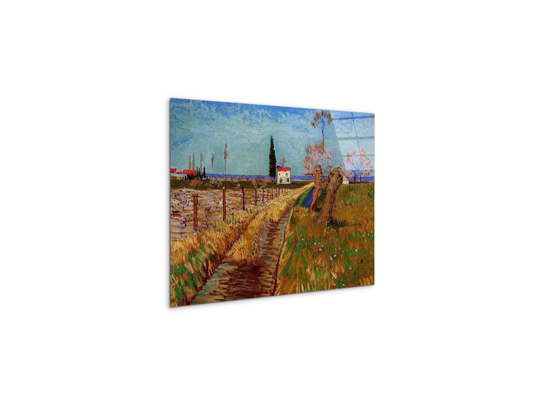 path-through-a-field-with-willowsas90775-