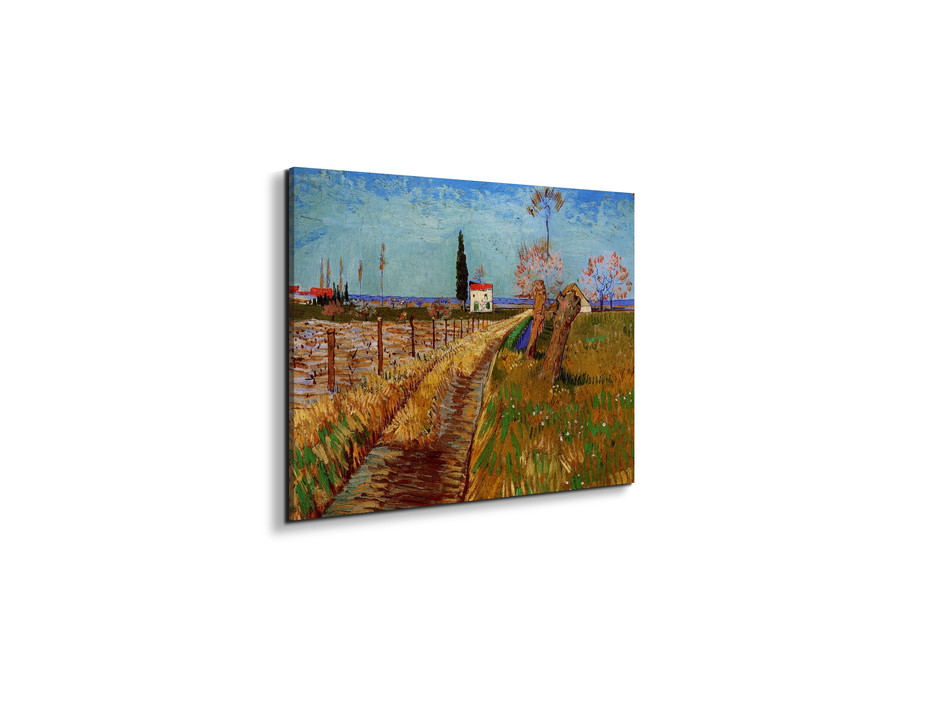 path-through-a-field-with-willowsas90775-