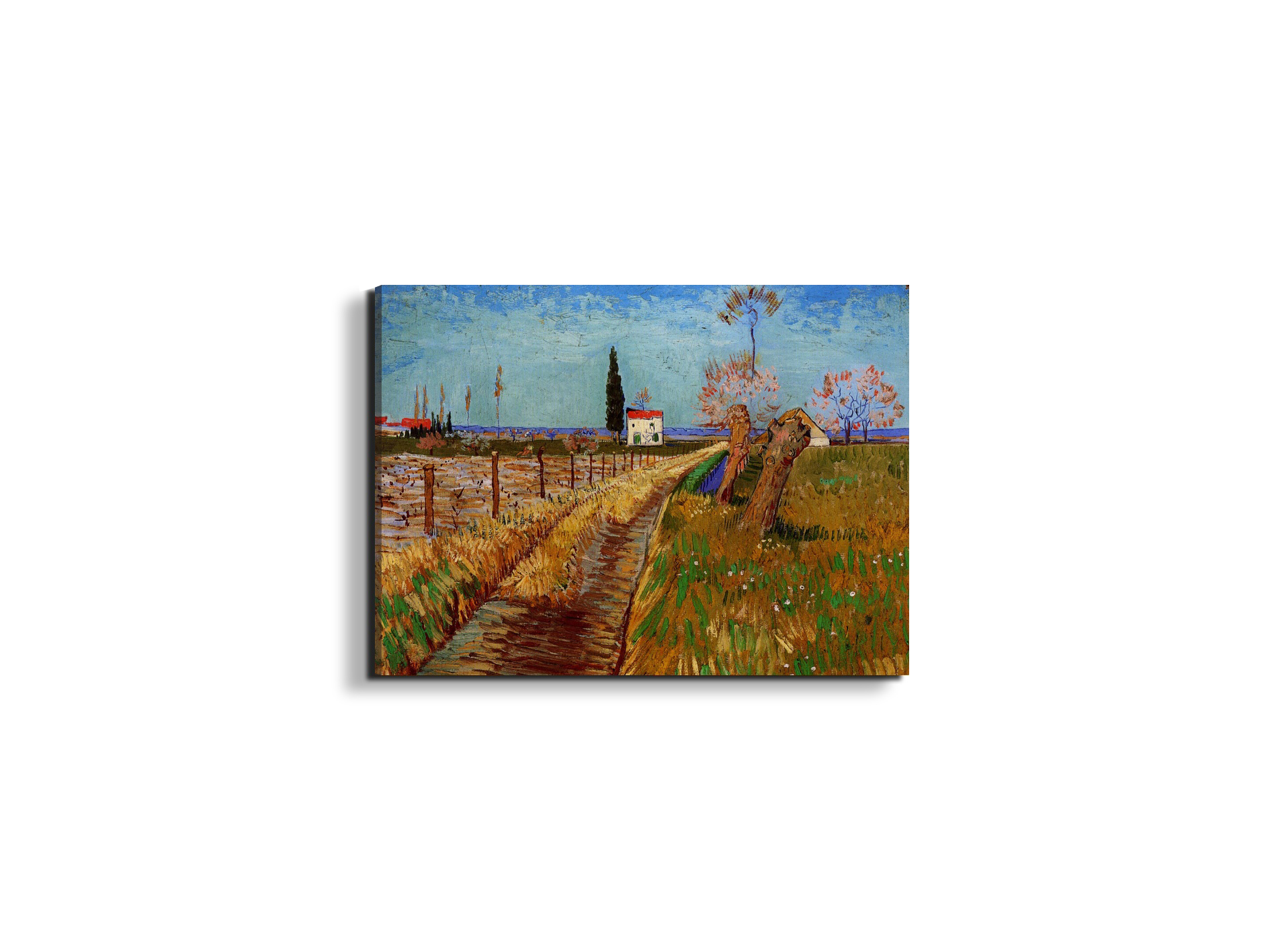 path-through-a-field-with-willowsas90775-