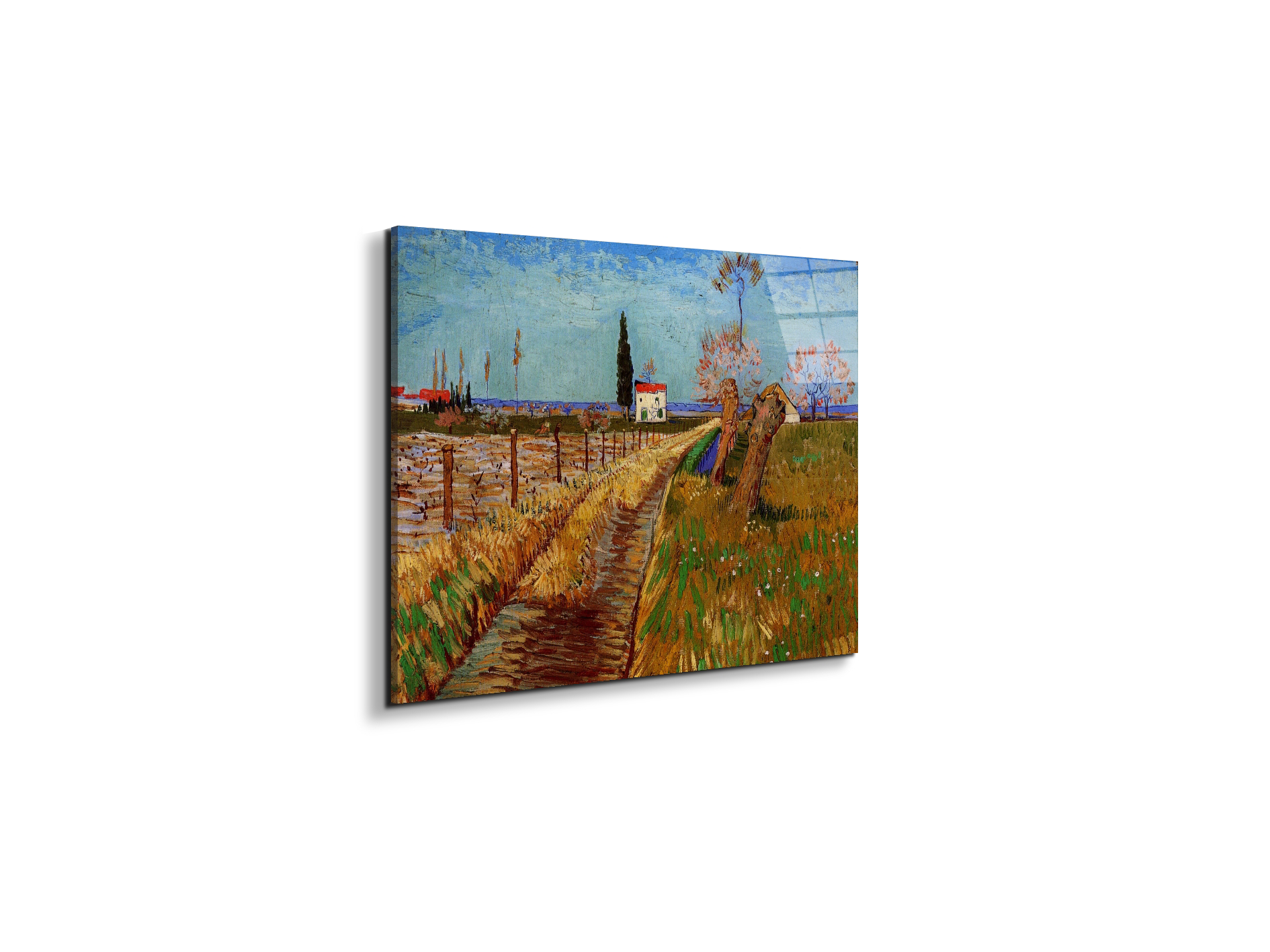 path-through-a-field-with-willowsas90775-
