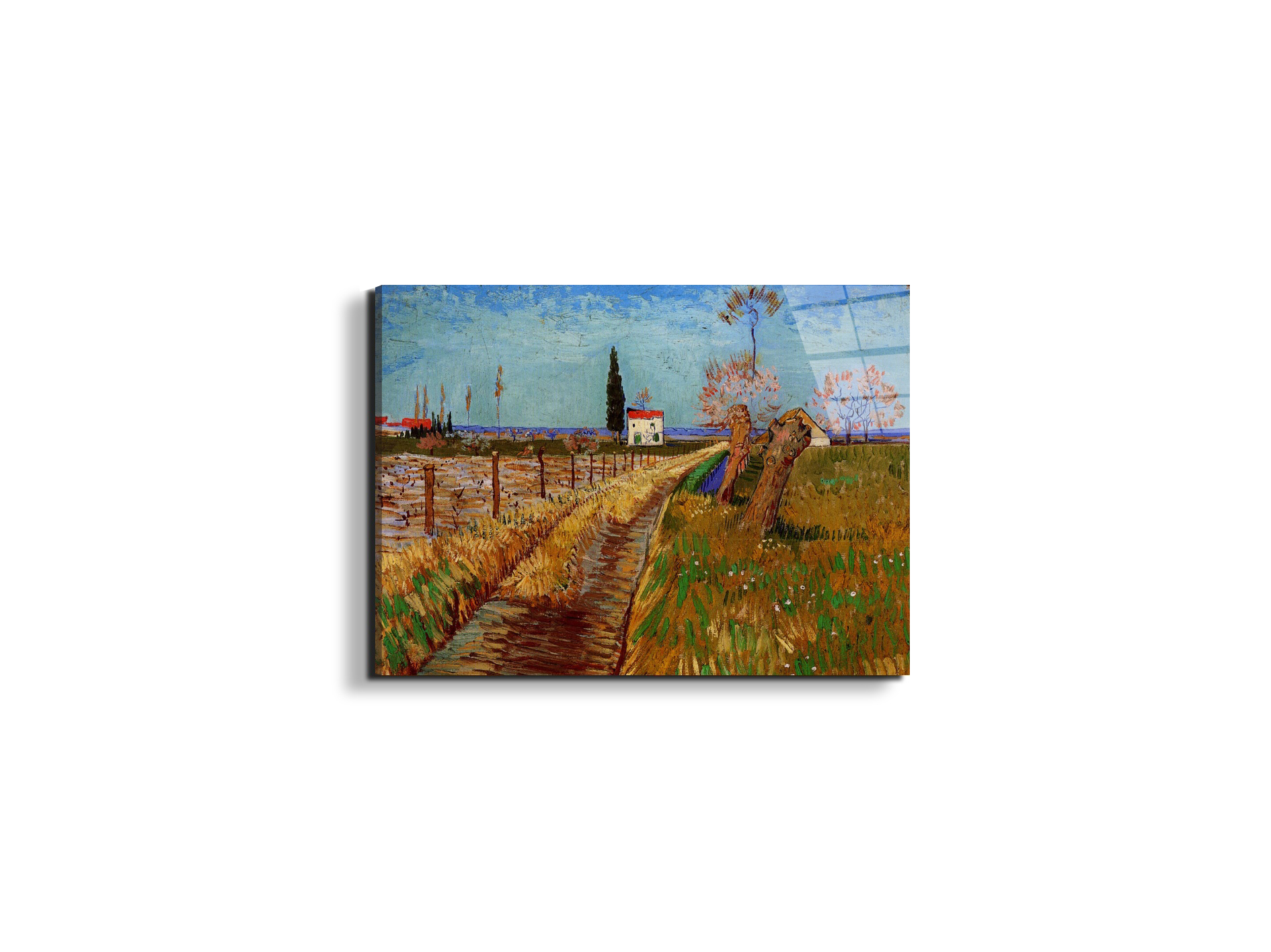 path-through-a-field-with-willowsas90775-