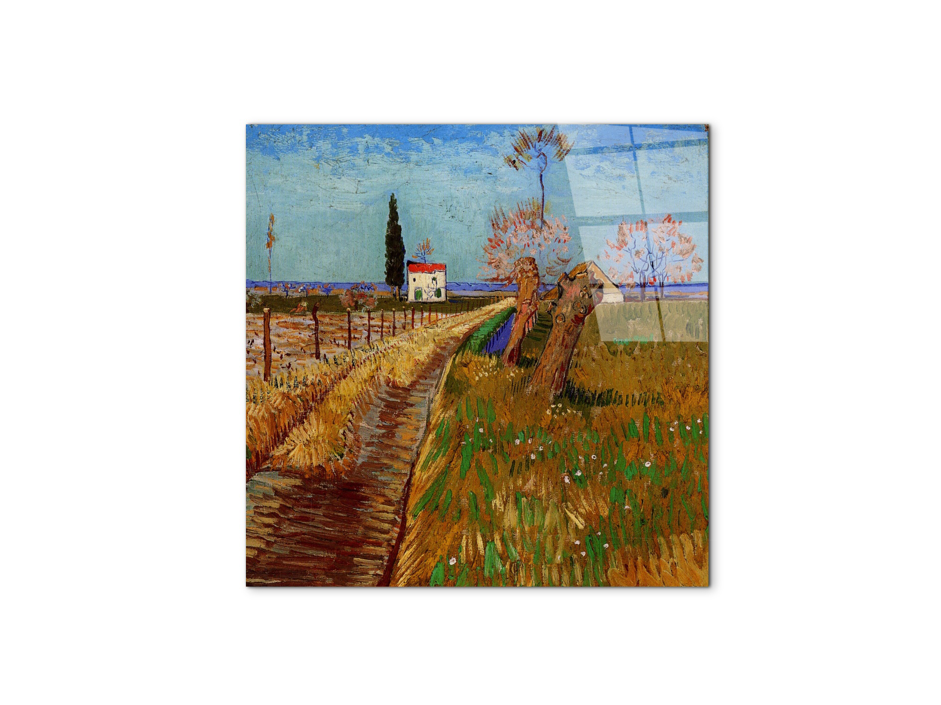 path-through-a-field-with-willowsas90777-#materiale_CrystalArt/dimensioni_58x58