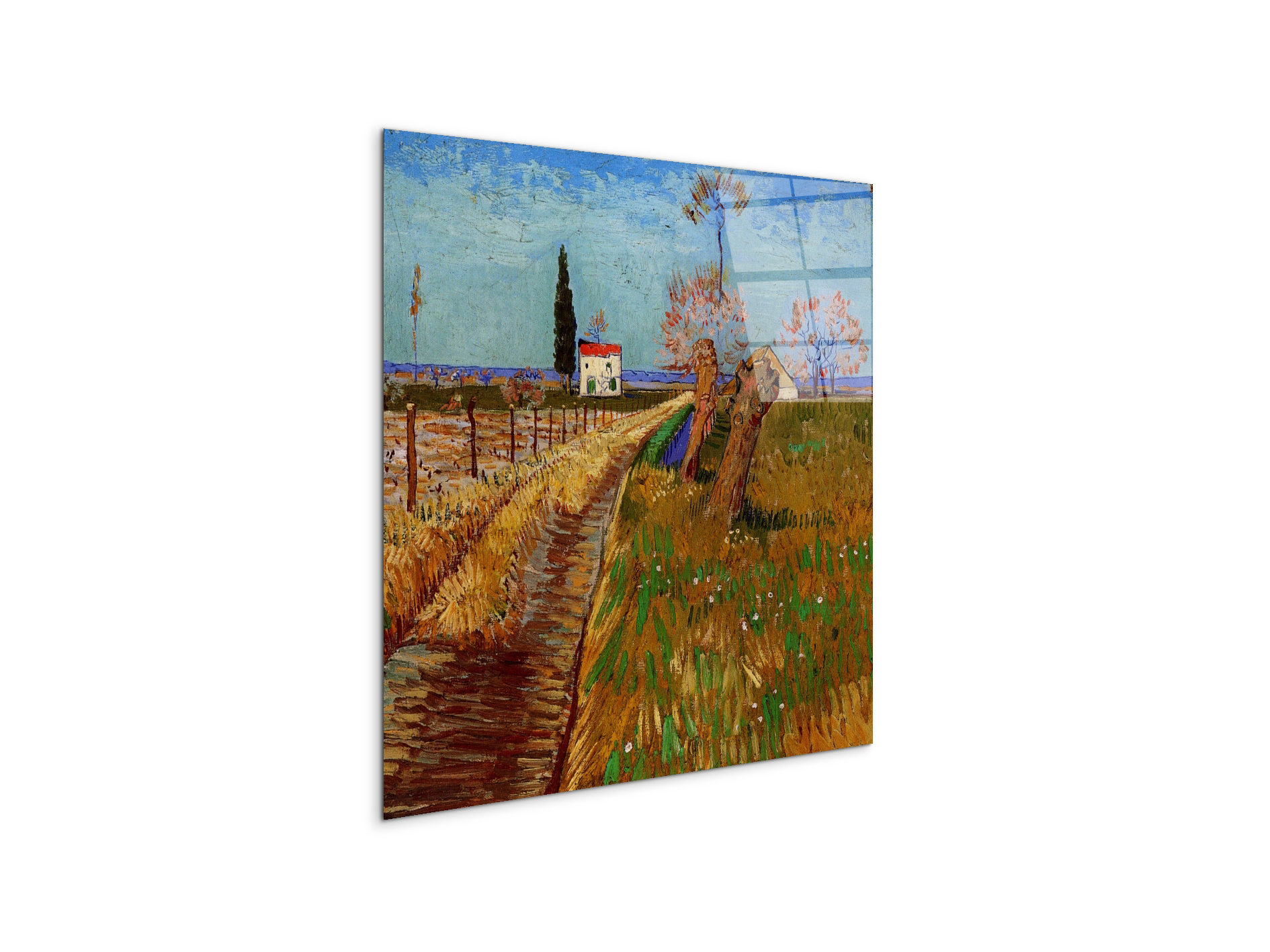 path-through-a-field-with-willowsas90777-