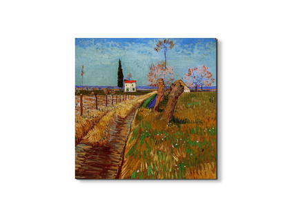 path-through-a-field-with-willowsas90777-