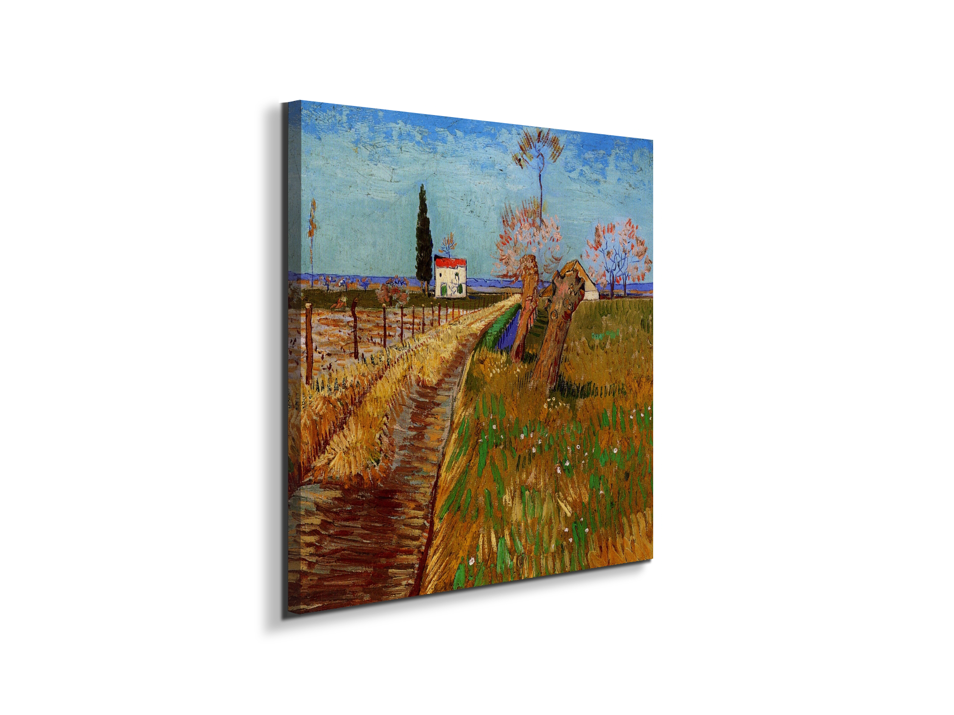 path-through-a-field-with-willowsas90777-