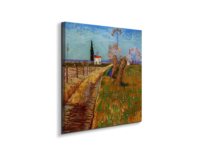 path-through-a-field-with-willowsas90777-