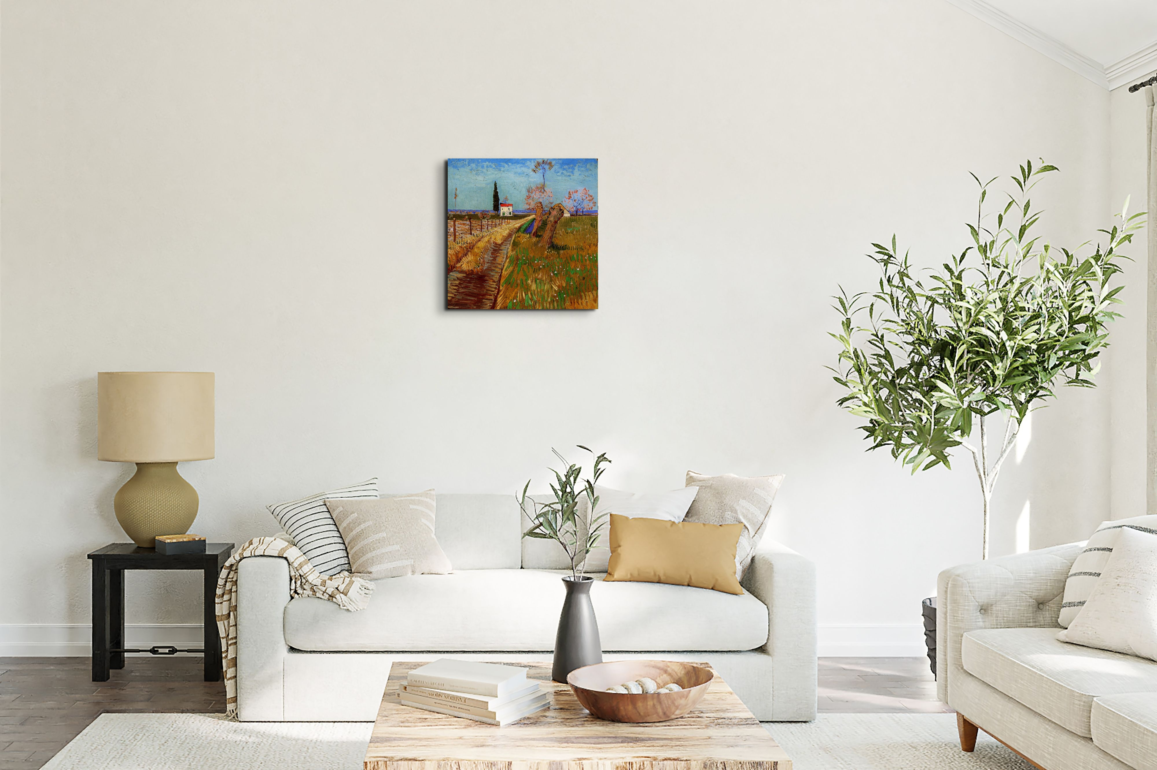path-through-a-field-with-willowsas90777-