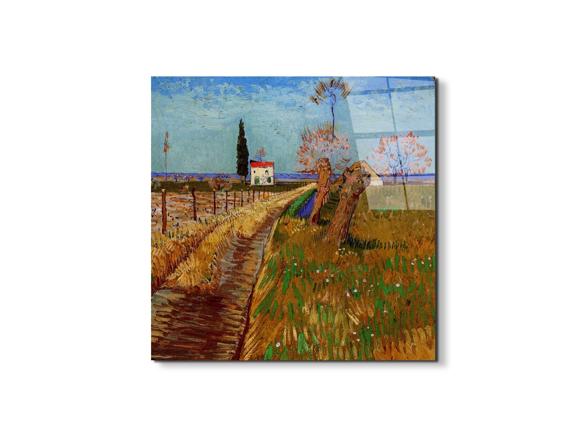 path-through-a-field-with-willowsas90777-