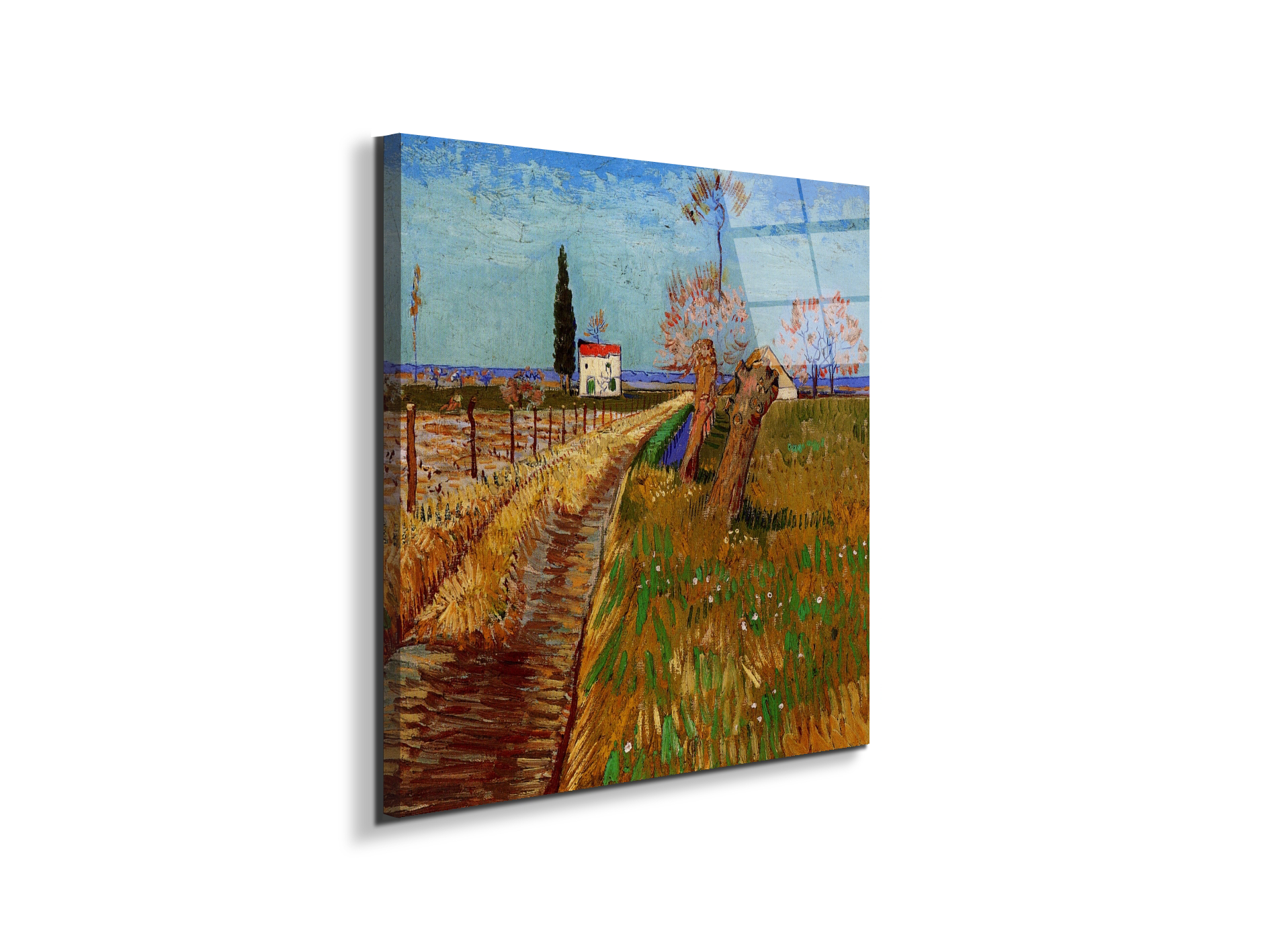 path-through-a-field-with-willowsas90777-