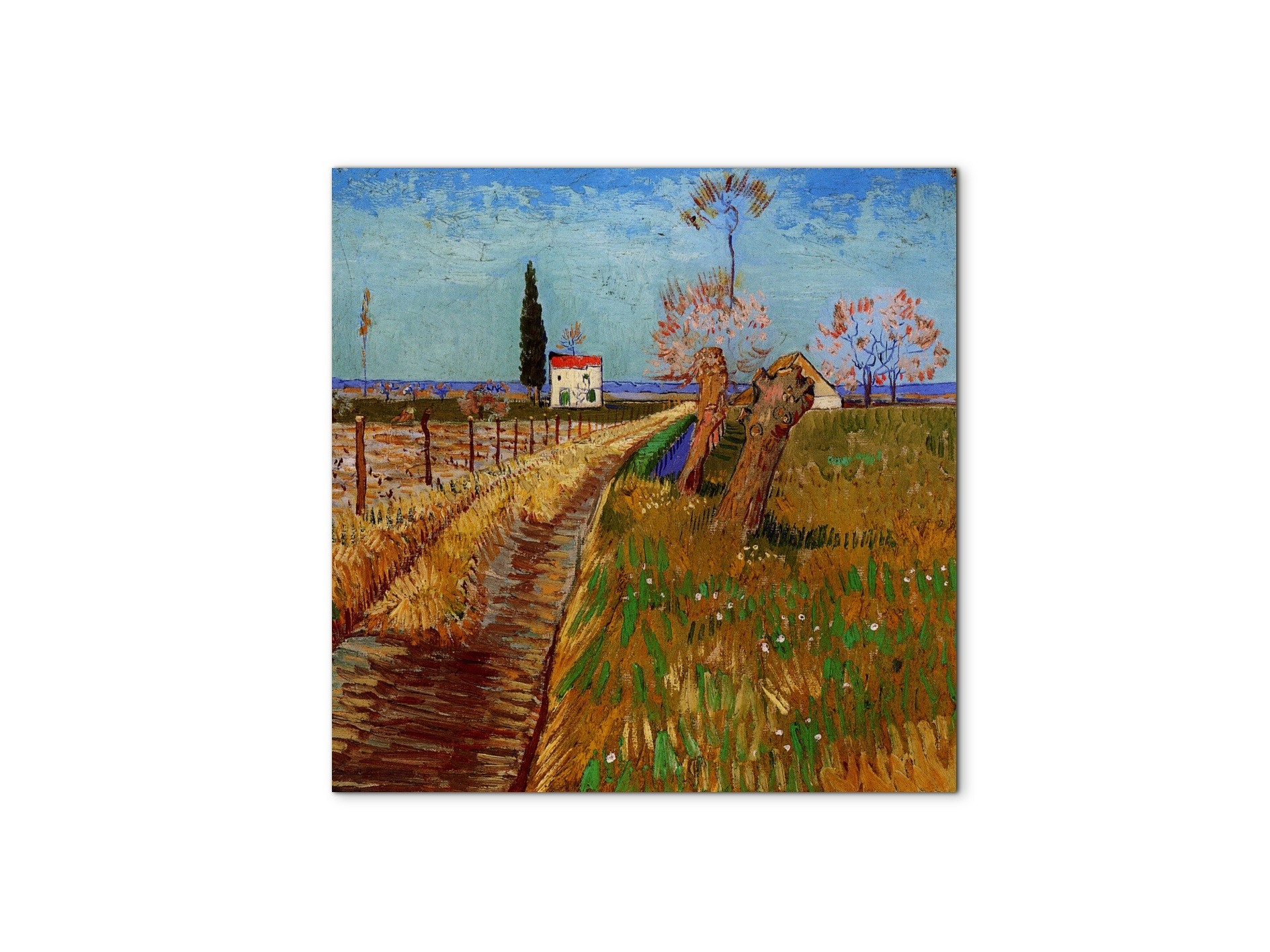 path-through-a-field-with-willowsas90777-
