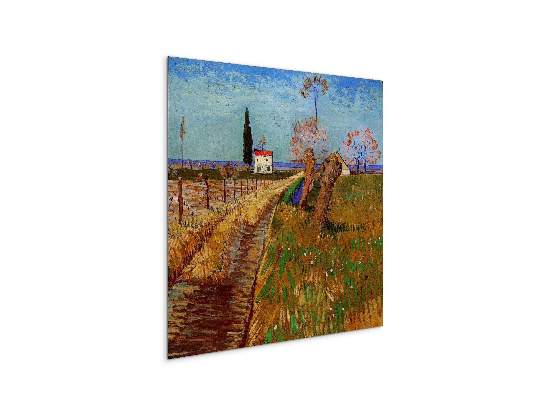path-through-a-field-with-willowsas90777-