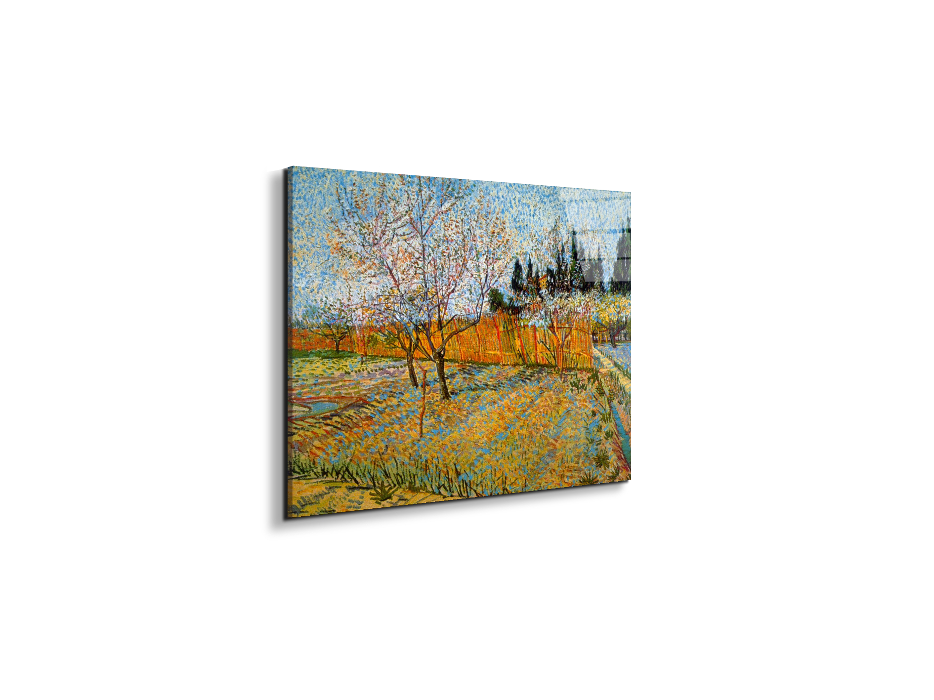peach-treesas90781-