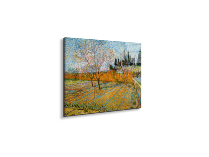 peach-treesas90781-