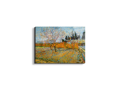 peach-treesas90781-