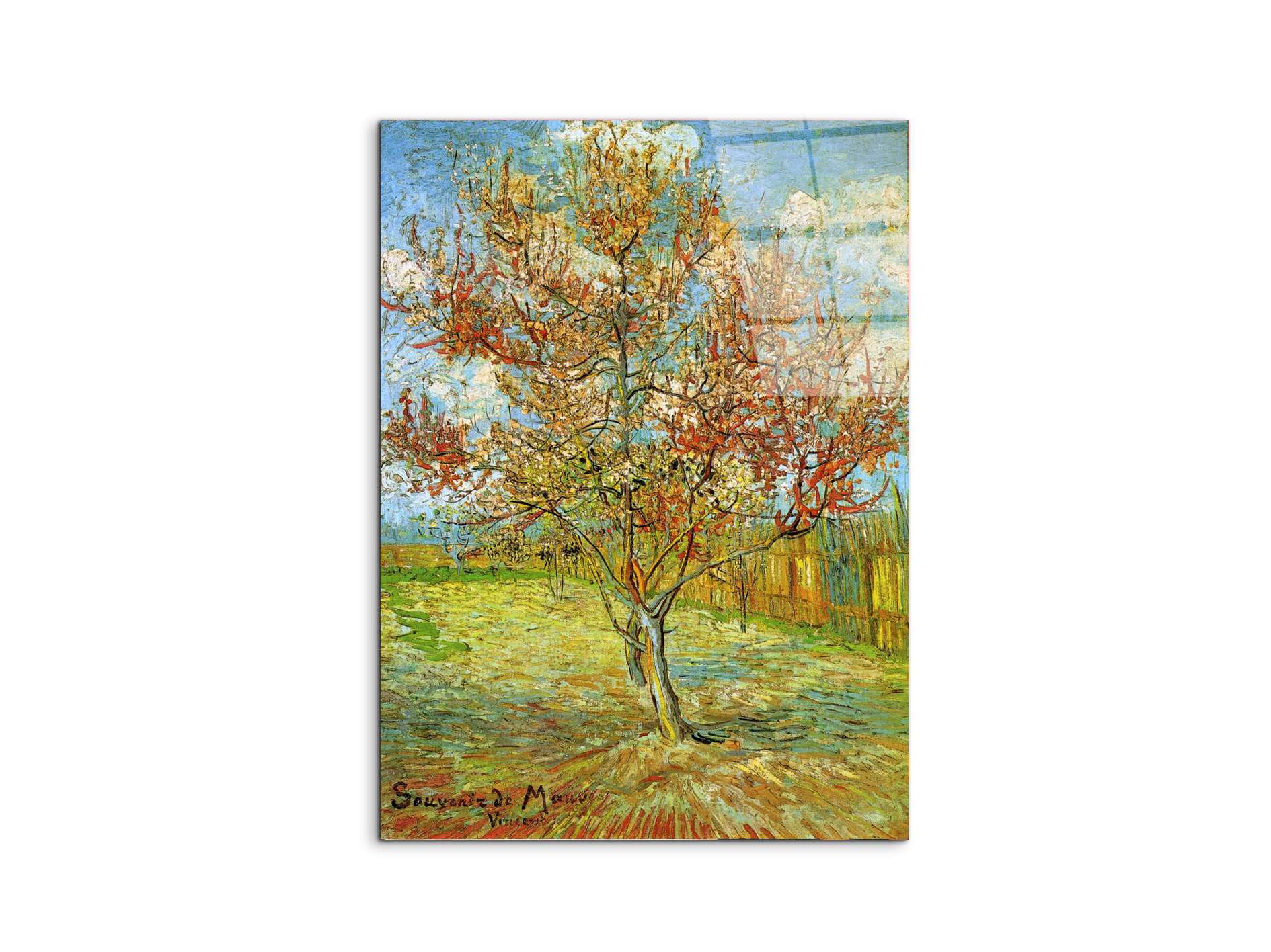 pink-peach-tree-in-blossom-reminiscence-of-mauveas90795-#materiale_CrystalArt/dimensioni_57x76