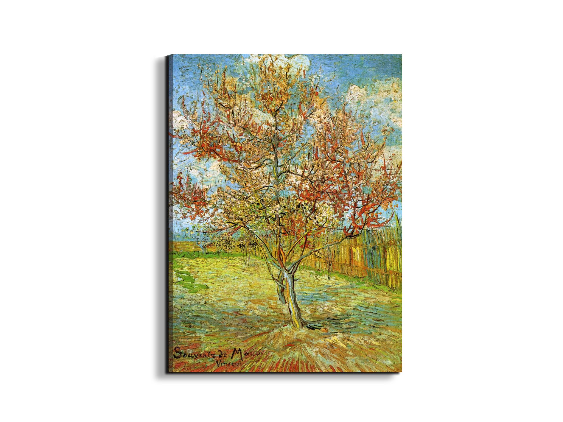 pink-peach-tree-in-blossom-reminiscence-of-mauveas90795-#materiale_EarthArt/dimensioni_57x76