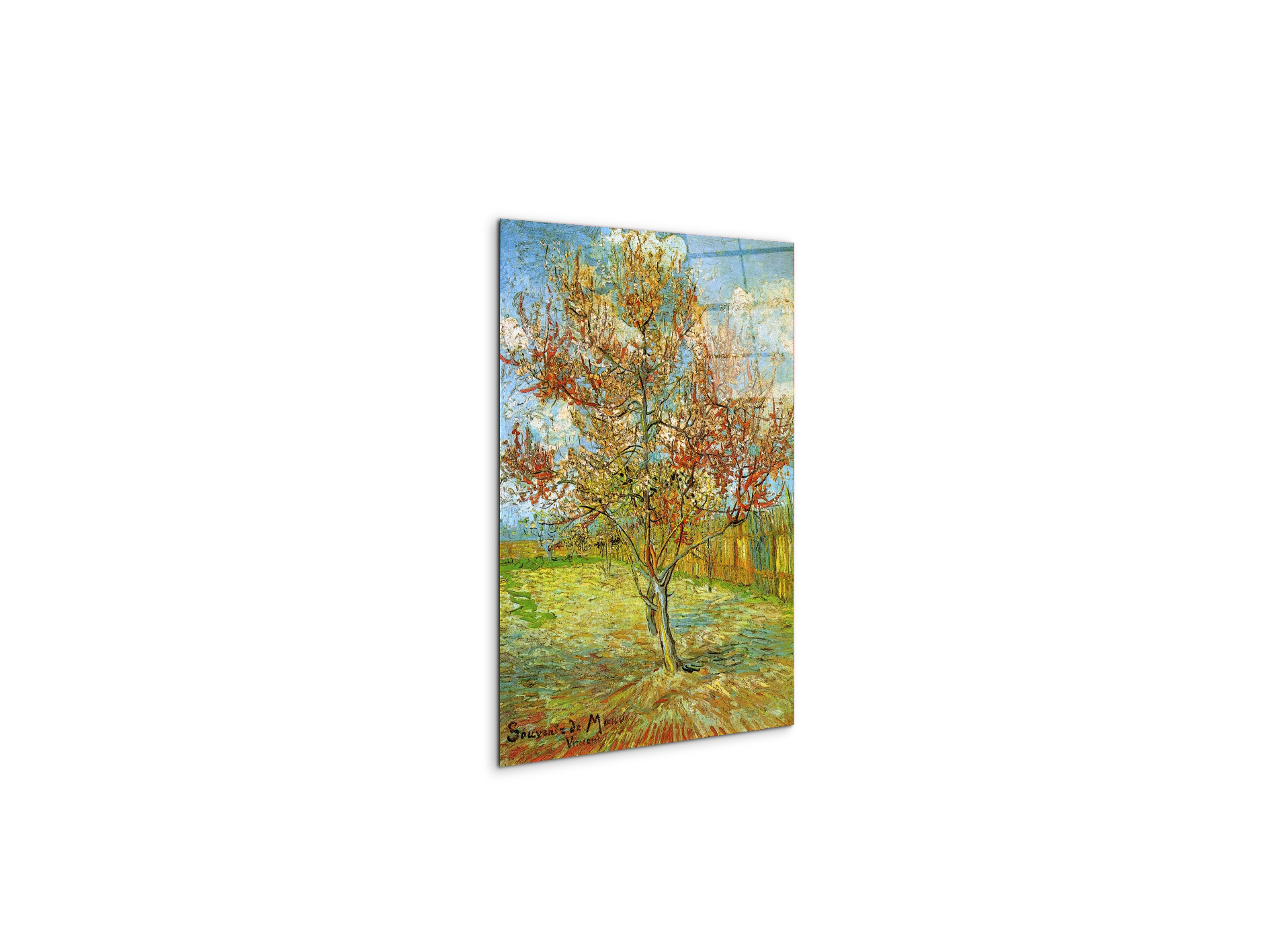 pink-peach-tree-in-blossom-reminiscence-of-mauveas90795-