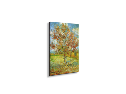 pink-peach-tree-in-blossom-reminiscence-of-mauveas90795-