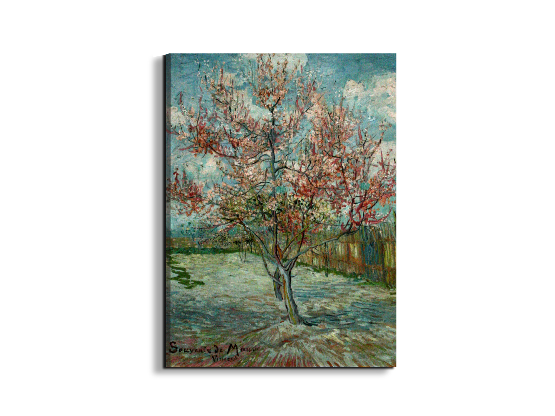 pink-peach-trees-souvenir-de-mauveas90797-#materiale_EarthArt/dimensioni_57x76