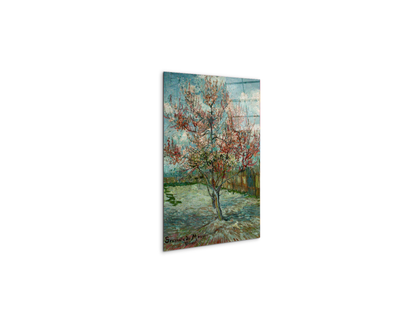 pink-peach-trees-souvenir-de-mauveas90797-