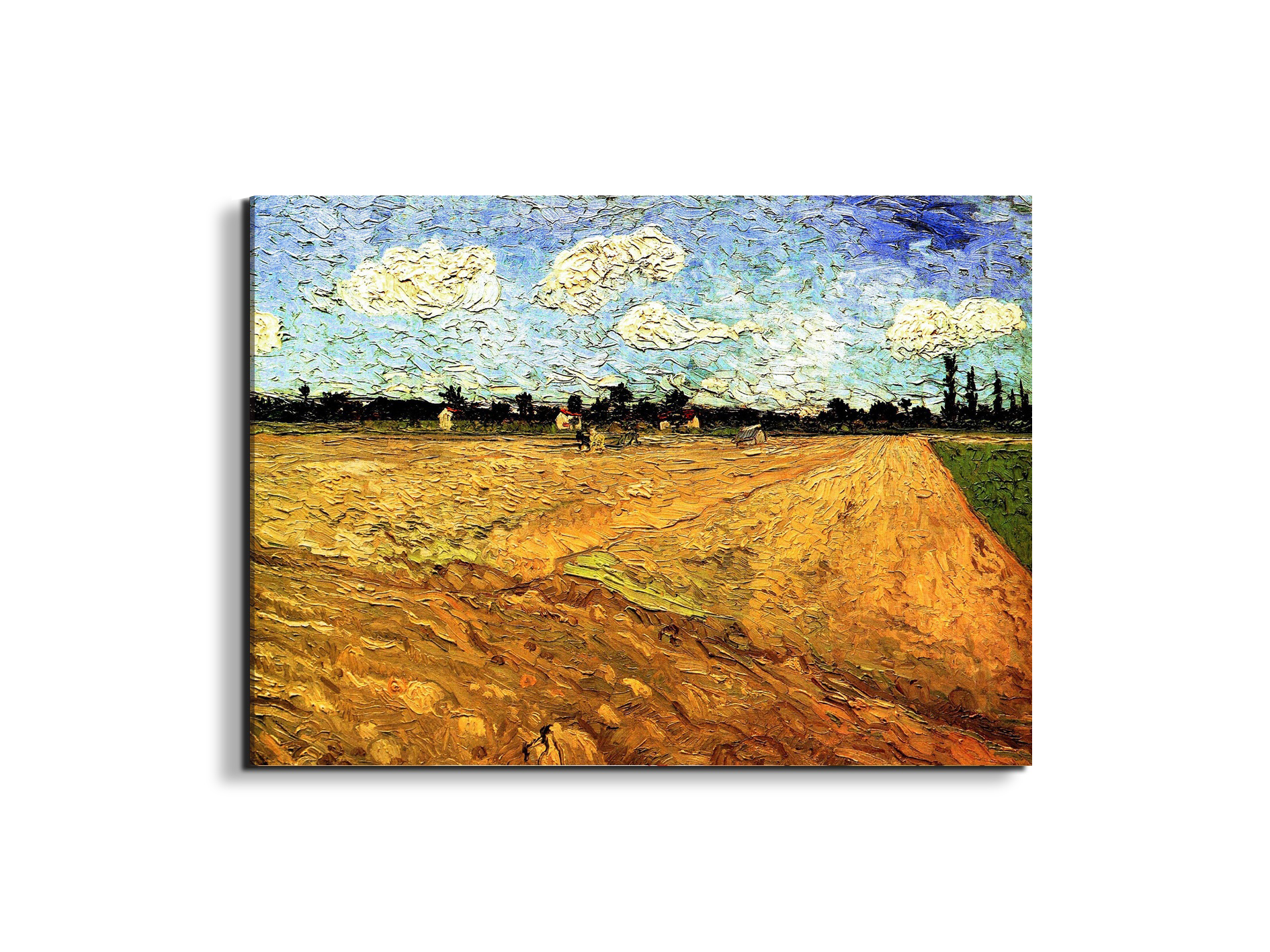 ploughed-fieldas90803-#materiale_EarthArt/dimensioni_76x57