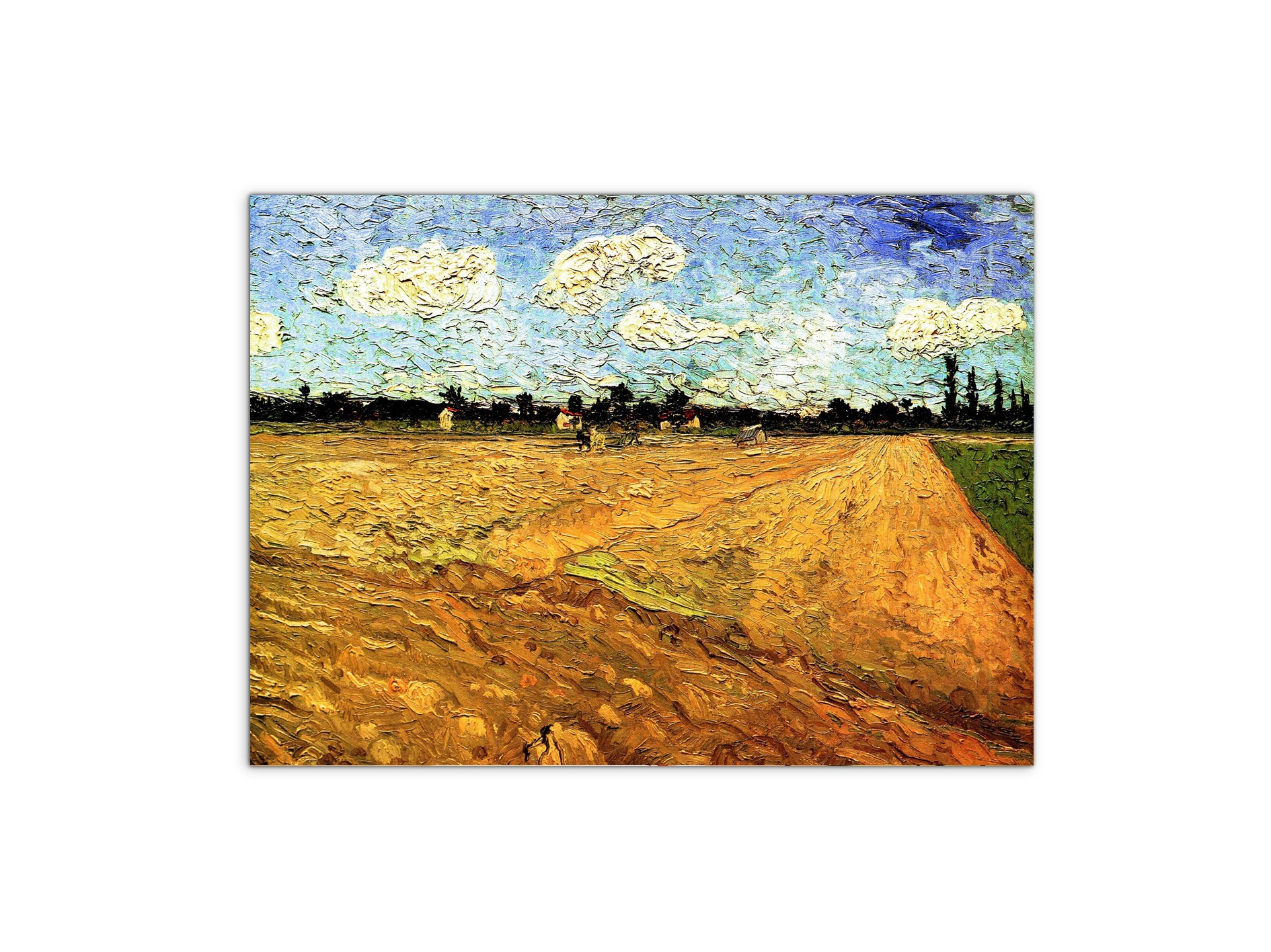 ploughed-fieldas90803-#materiale_MetalArt Materic/dimensioni_76x57
