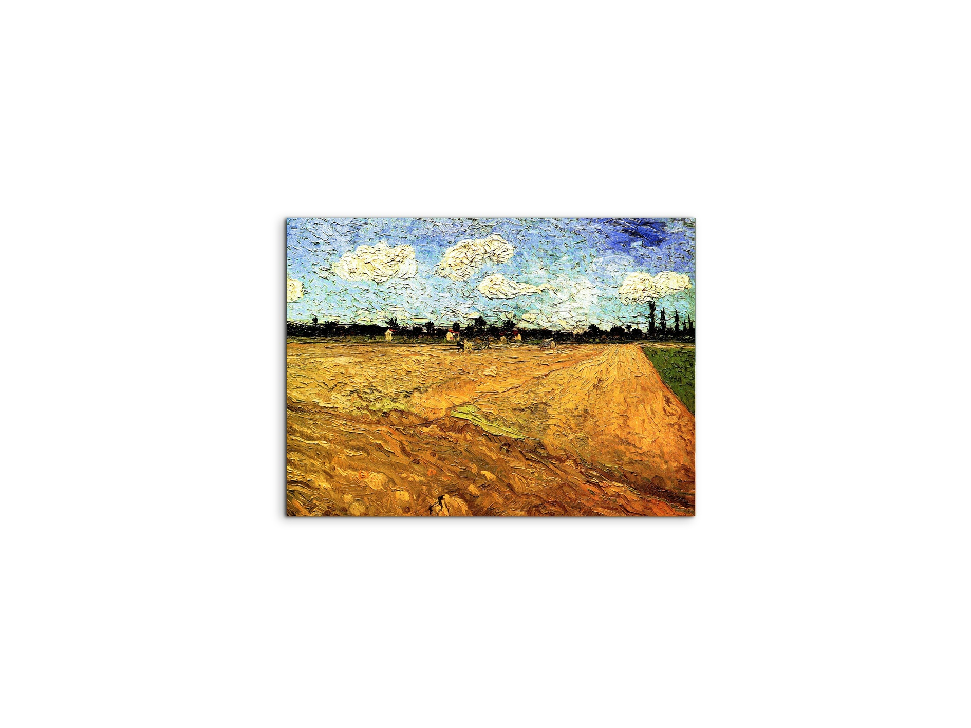 ploughed-fieldas90803-#materiale_MetalArt Materic/dimensioni_50x37,50