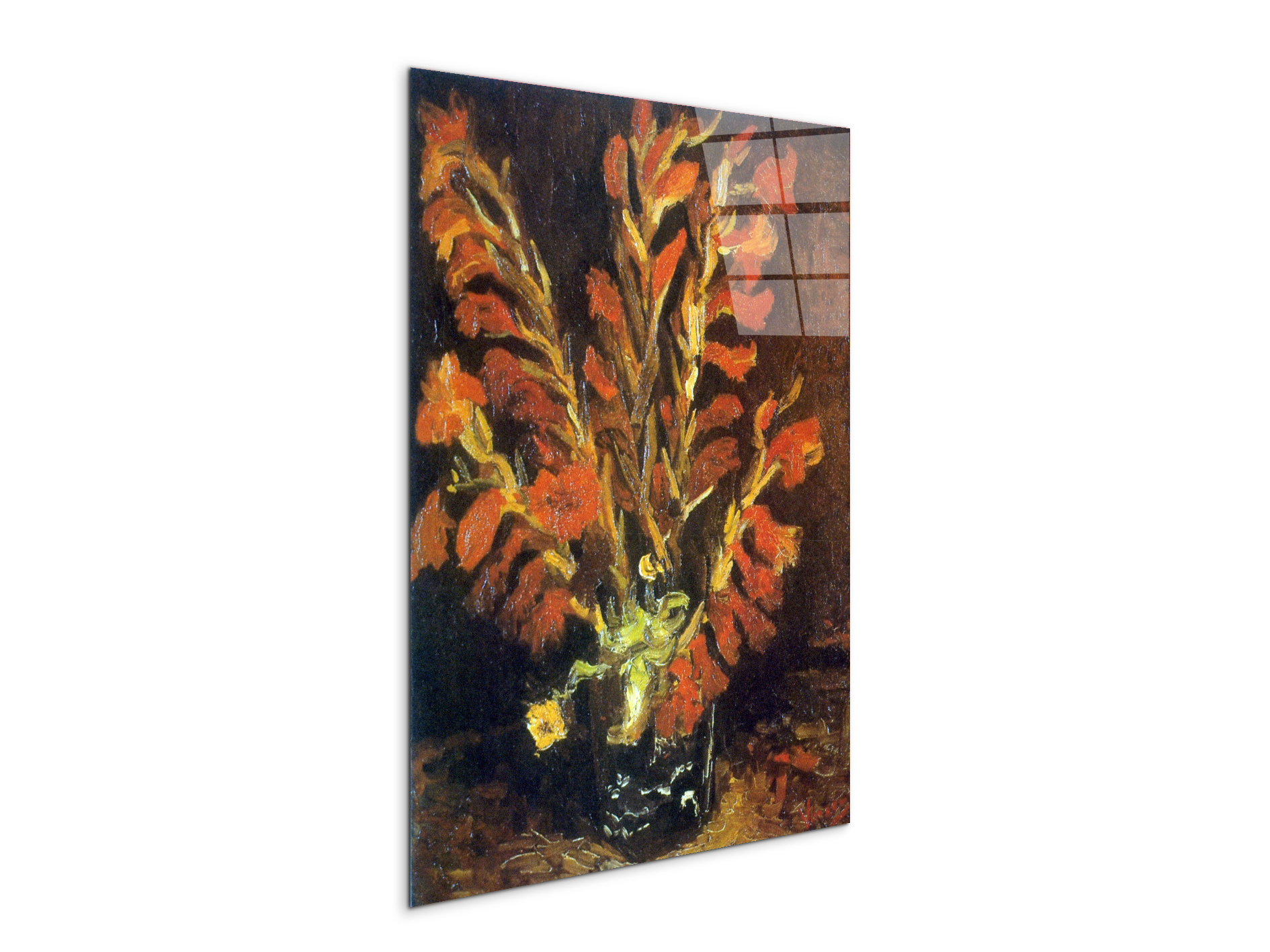 red-gladiolias90831-